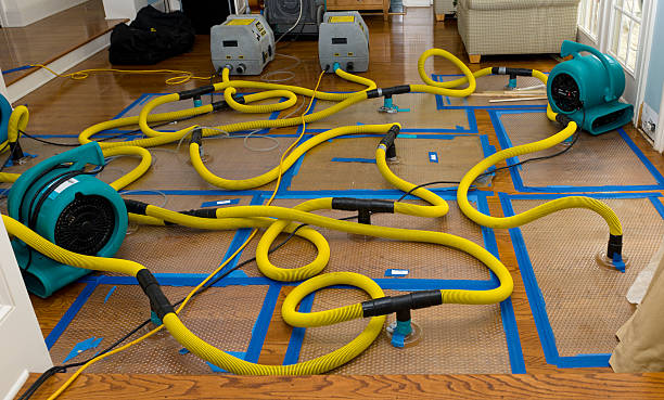 Professional Water Damage Repair technician working in La Jolla, CA